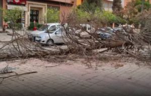 IMG 20210108 WA0189 1