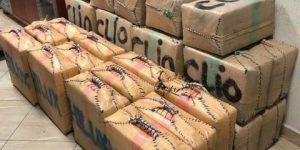 IMG 16012021 100438 600 x 300 pixel