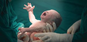 doc p 780100 637451108413919566