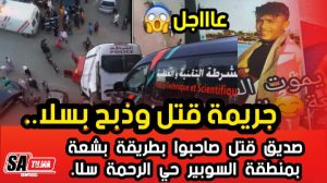 IMG-20210311-WA0050 3 IMG 20210311 WA0050 1