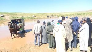 IMG-20210312-WA0041 3 IMG 20210312 WA0041