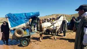 IMG-20210312-WA0042 3 IMG 20210312 WA0042