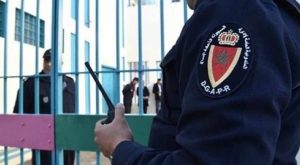 designnn Copie Copie copie 74 600x340 2