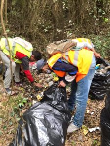 d99470e9747bc87d5db4b2feed5ea5fb.0