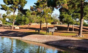 jardin zoologique de rabat 1622807568