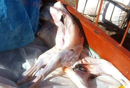 IMG 20211107 WA0021