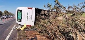 FB IMG 1642688786952