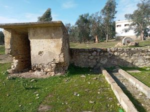 FB IMG 1643713533894