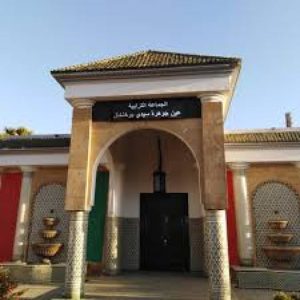 عين الجوهرة1