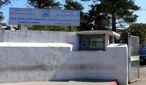 0B9B9291 9394 48EE 8BBE C9CC8A9F0BA8