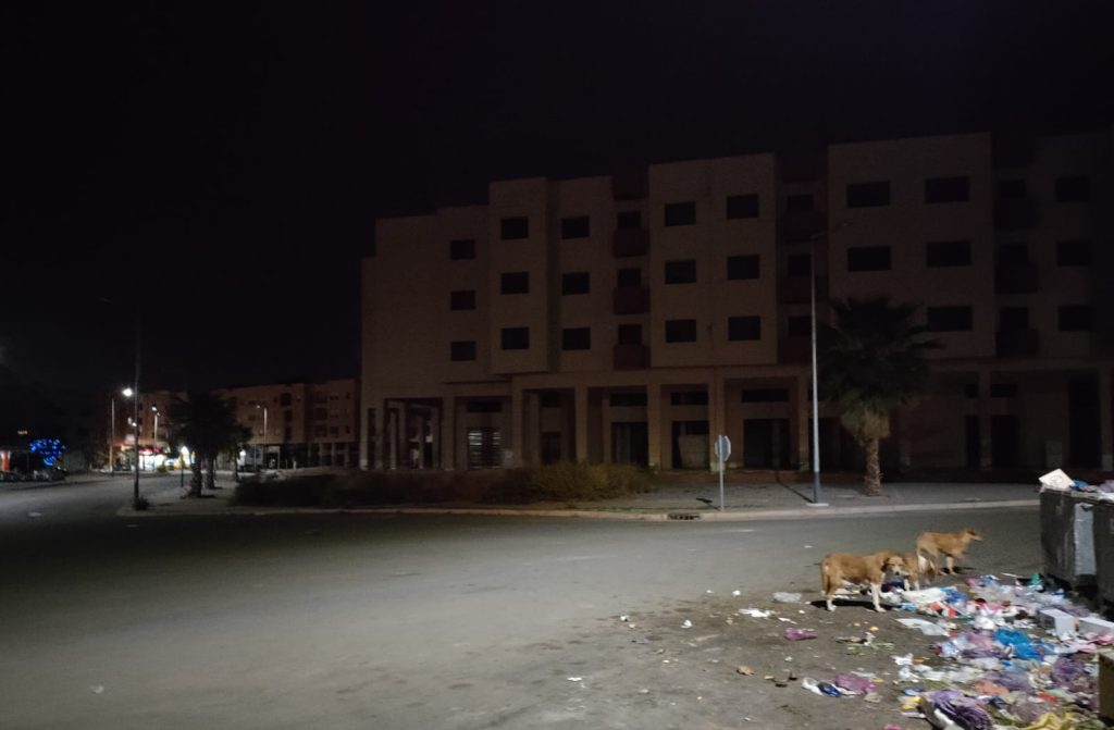 جماعة مراكش تحت رحمة شركة أجنبية 4 IMG 20220303 WA0071