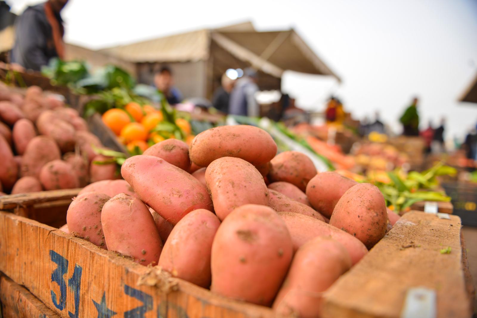 MAPPH 20220228 0160 Ahmed HAYAT map