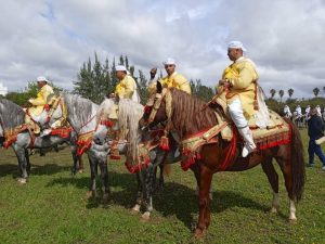 FB IMG 1648858283345