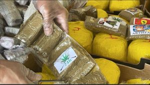 IMG 20220427 WA0078 1