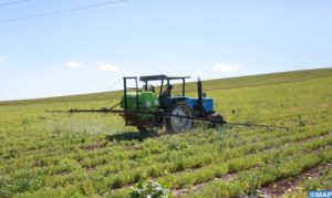 agriculture1 504x300 1