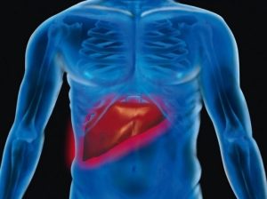 e0efaa92 dd4c 4463 bfb2 6c416d0907db