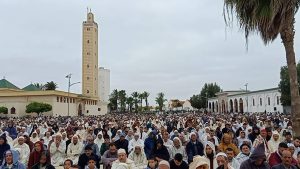 IMG-20220502-WA0101 3 IMG 20220502 WA0101