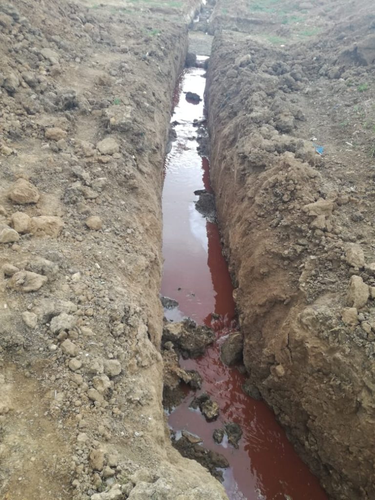 خنيفرة : مجزرة مدينة مريرت تسبب في كارثة بيئية 3 IMG 20220504 WA0039
