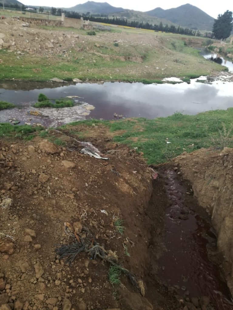 خنيفرة : مجزرة مدينة مريرت تسبب في كارثة بيئية 4 IMG 20220504 WA0042