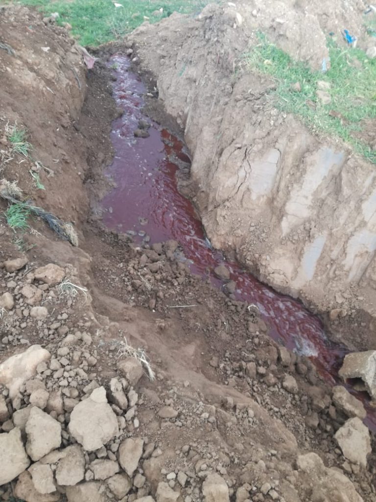 خنيفرة : مجزرة مدينة مريرت تسبب في كارثة بيئية 6 IMG 20220504 WA0043