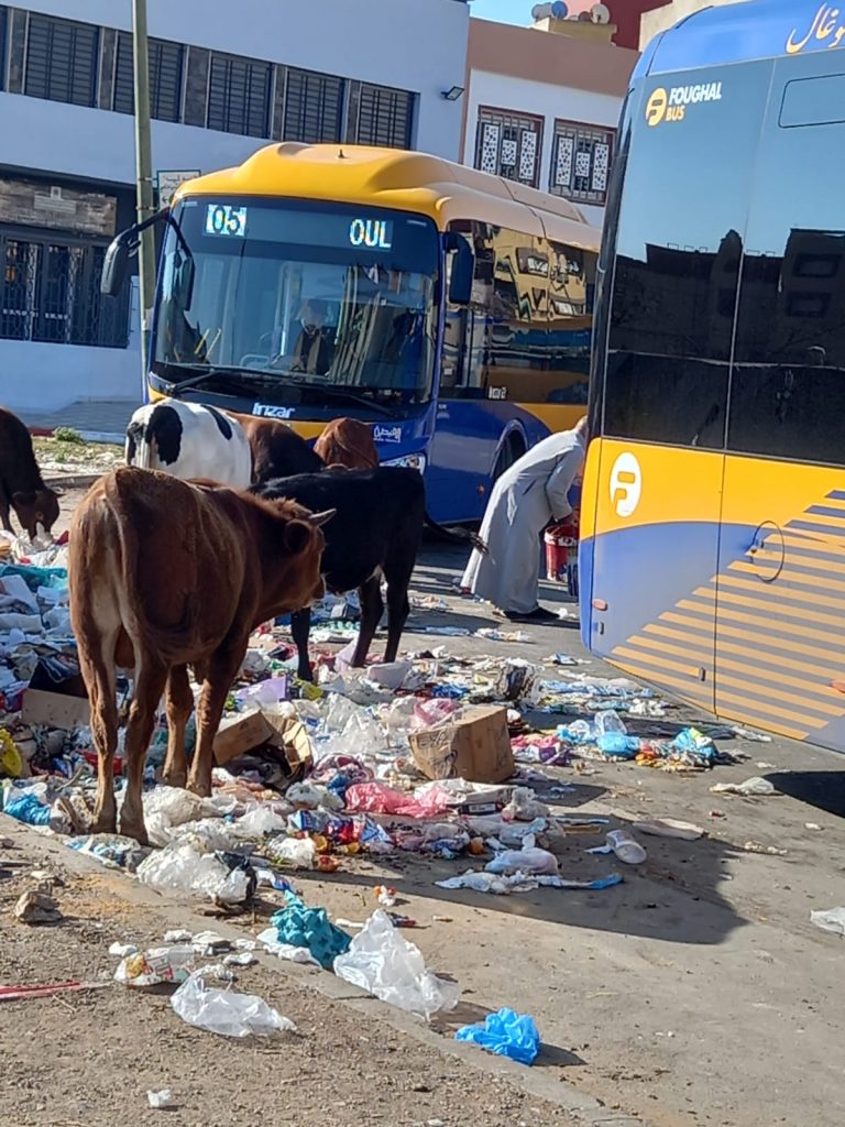 ظاهر إنتشار الأزبال تسائل المجلس المسير لجماعة القنيطرة 3 IMG 20220505 WA0251