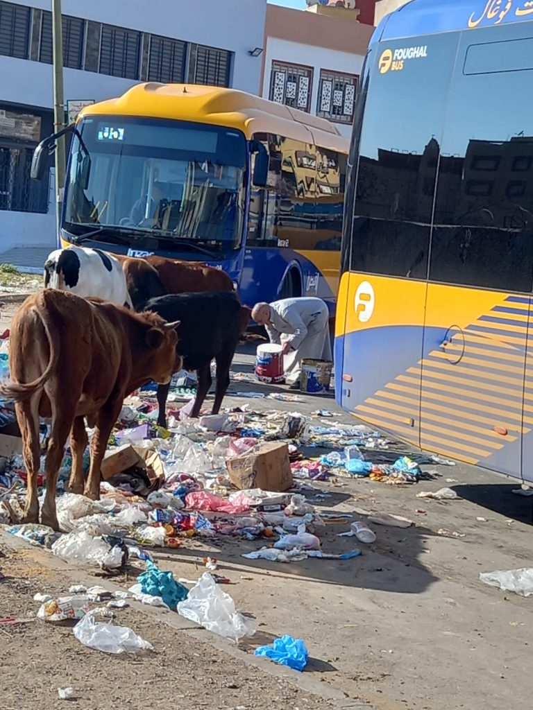 ظاهر إنتشار الأزبال تسائل المجلس المسير لجماعة القنيطرة 4 IMG 20220505 WA0252 1