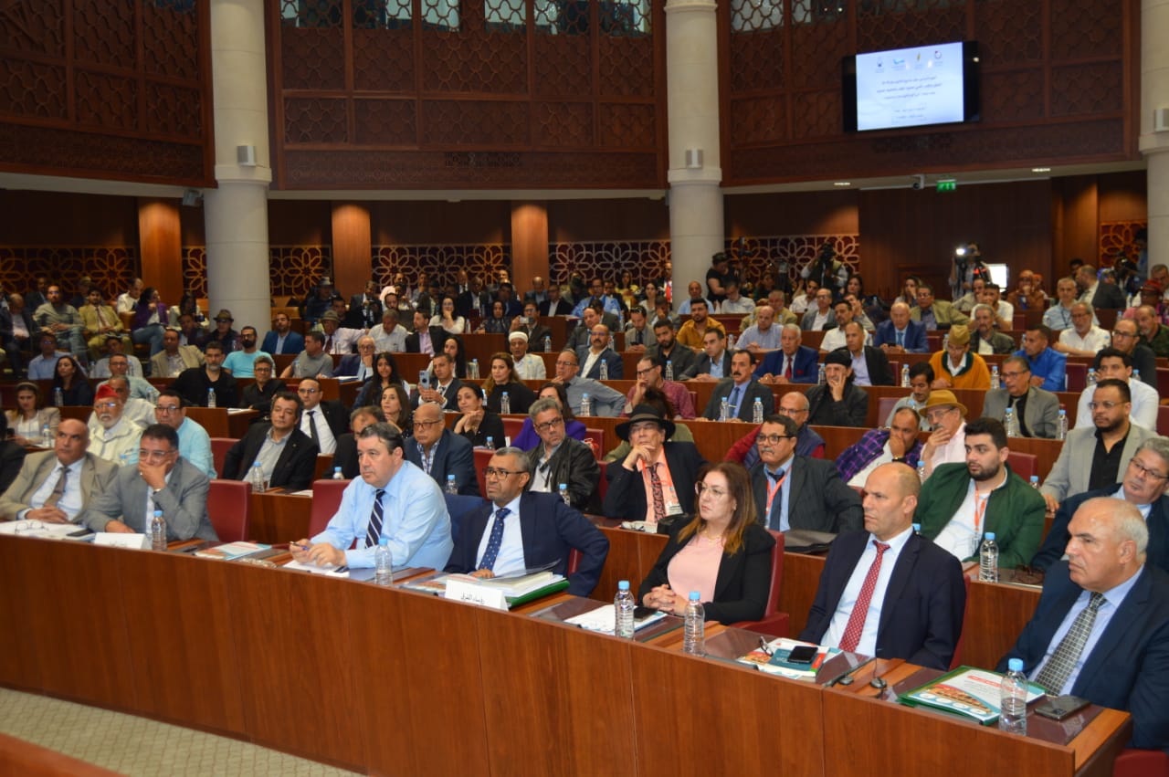 IMG 20220512 WA0033 1