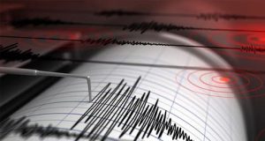 vis 0511202120031277