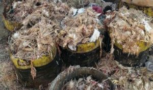 1523860563 650x400 686x405 1