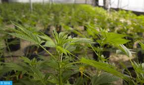 aa682e410d8dd841d4df7726f9208cd3