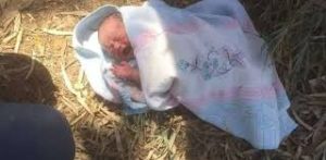 82cd5ba1254d4846ab85b7a3fc46a09e