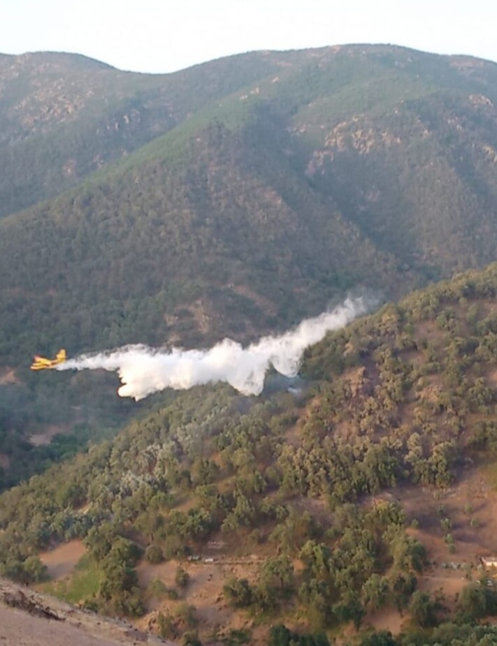 IMG 20220701 WA0059 1