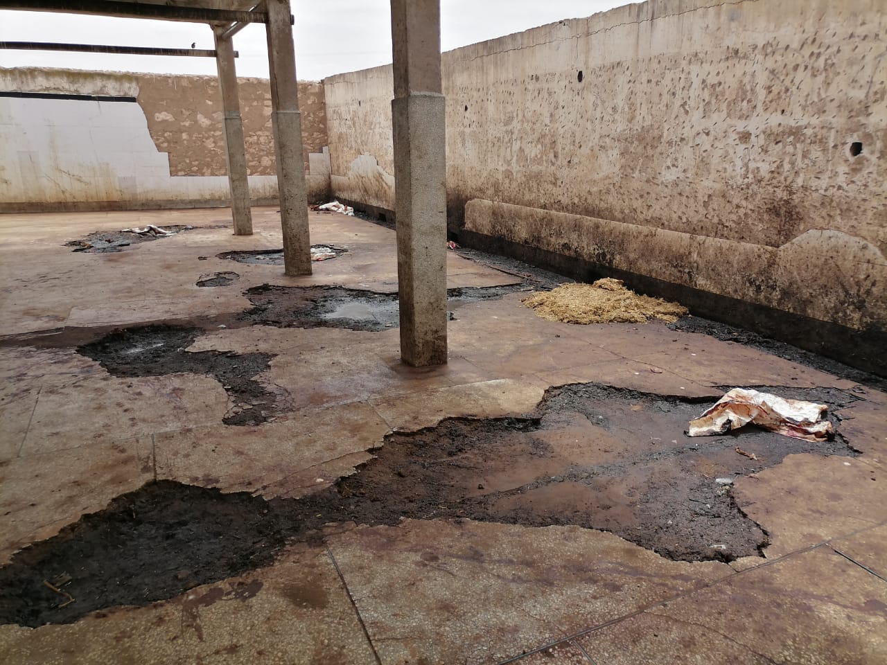 IMG 20220707 WA0030 1