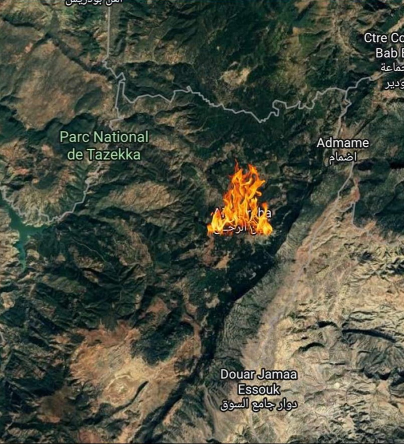 تازة، حريق غابوي مهول بالمنتزه الوطني تازكا يخرج عامل الاقليم الى عين المكان 5 IMG 20220714 WA0024