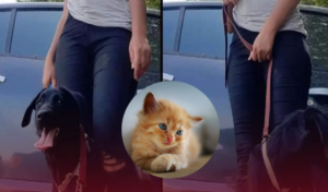 f7c0bfc000d4838d60bef49d32936673