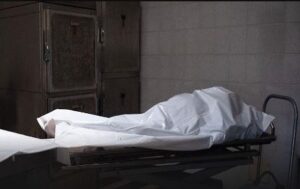 16d027a18887f54fb55d7885c15118fc