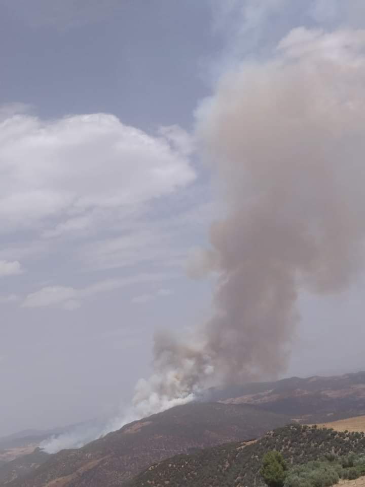 خنيفرة ..فرق مكافحة الحرائق تتمكن من تحويط حريقي غابة" جبل عمار تسكارت" و "بويدار" 1 IMG 20220802 WA0042 1