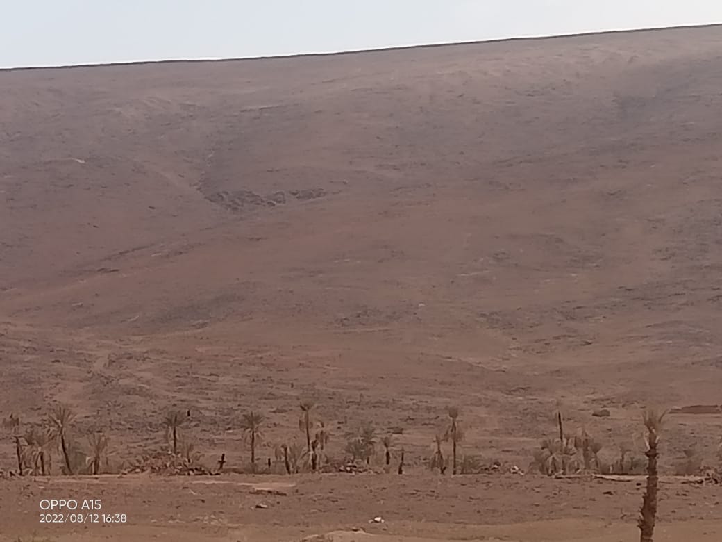 اندثار واحة النخيل والحقول الزراعية بسبب الإهمال وموجة الجفاف بدوار زاوية أوزدين التابع لاقليم زاكورة. 2 IMG 20220813 WA0034