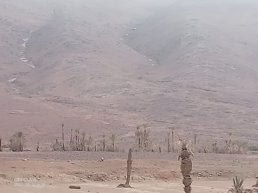 اندثار واحة النخيل والحقول الزراعية بسبب الإهمال وموجة الجفاف بدوار زاوية أوزدين التابع لاقليم زاكورة. 5 IMG 20220813 WA0035