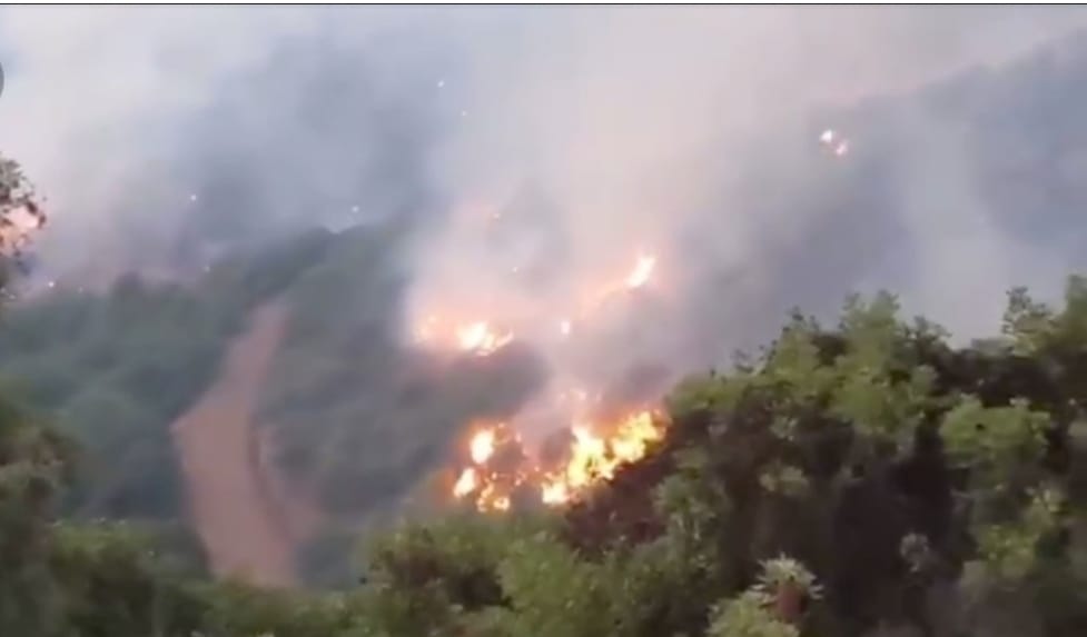 توقيف أربعة أشخاص للاشتباه تورطهم في إضرام النار عمدا وإحداث خسائر مادية بملك غابوي تابع للدولة. وفاة ثلاث أفراد من الوقاية المدنية. 1 IMG 20220816 WA0100