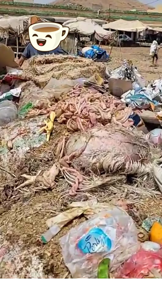 خنيفرة : ساحة السويقة عالم آخر في قلب مدينة مريرت 1 IMG 20220821 WA0124