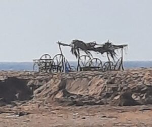 IMG 20220830 WA00322