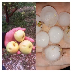 IMG 20220921 WA0010 1