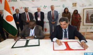 IMG 262611 504x300 1