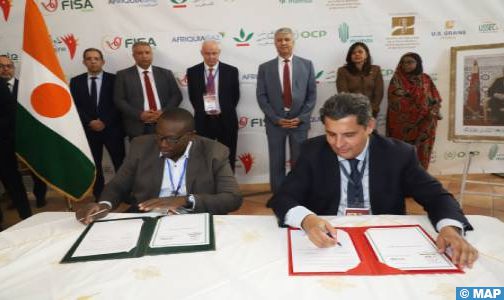 IMG 262611 504x300 1