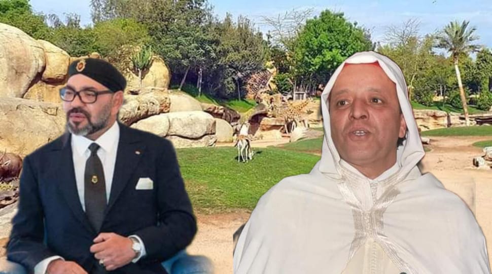 منظمة حقوقية تطالب برحيل عامل عمالة عين السبع الحي المحمدي ورئيسة مجلس جماعة الدار البيضاء حول تأخير افتتاح المشروع الملكي حديقة الحيوانات عين السبع المغلقة منذ سنوات في وجه الزوار 1 IMG 20221223 WA0066