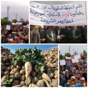 IMG 20230129 WA0063 1