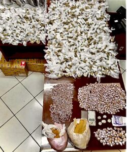 47D7E176 C4B6 4CFC 86B0 848CFAF73DA0