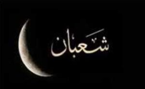 4feac36dd9511376653df67372c07269