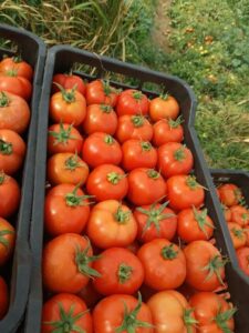 DEDA6B85 0B09 413C B076 88042F543CE3